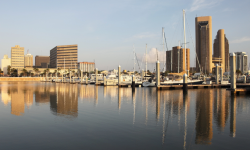 Proposal Development